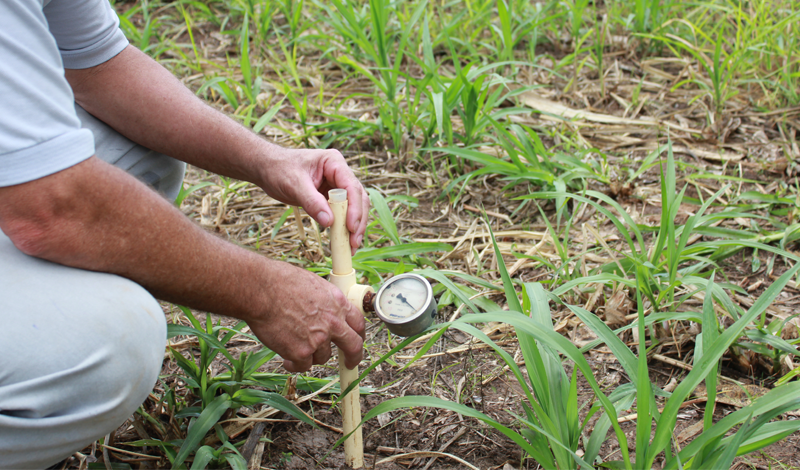 Manejo de Irrigação a importância das tecnologias no período de chuvas